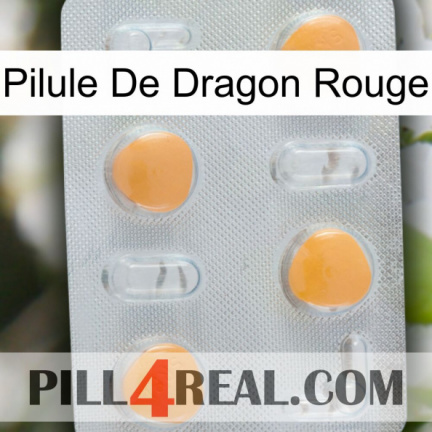 Red Dragon Pill 24